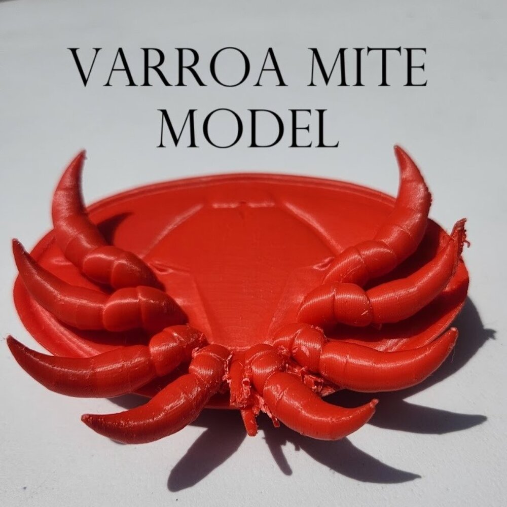 Varroa Mite Varoa Destructor Bug Insect Model Beekeeping Honeybees Bee Save the